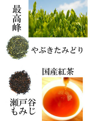 お茶と紅茶2.jpg