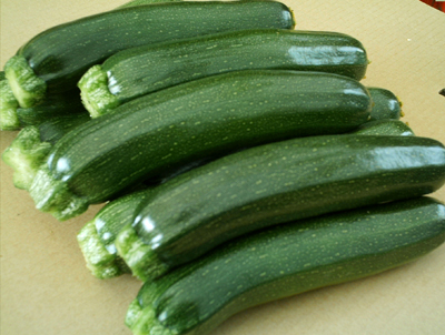 http://www.jummanet.org/notice/zukkini.jpg